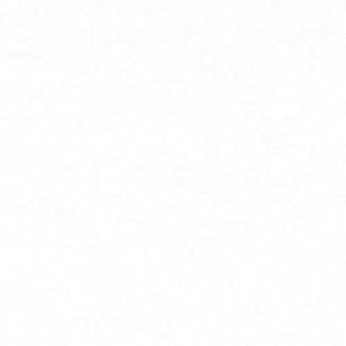 Wexdi Logo